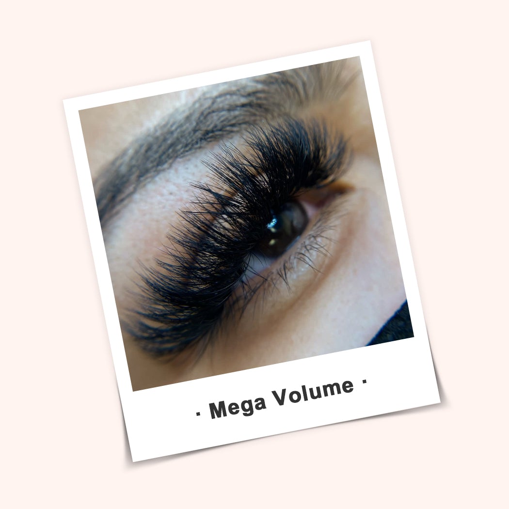 Super Easy Fan Lashes Faux Mink Lashes - Allovelashes